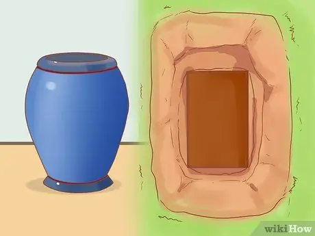 Усыпьте кошку, шаг 4