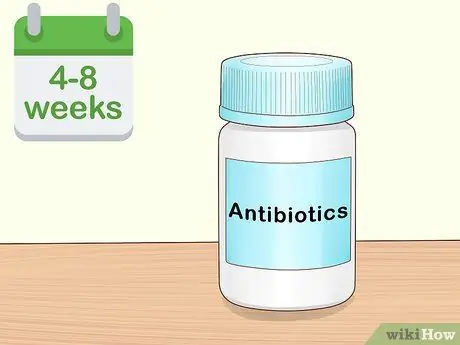 Как справиться с септическим артритом у кошек Шаг 12