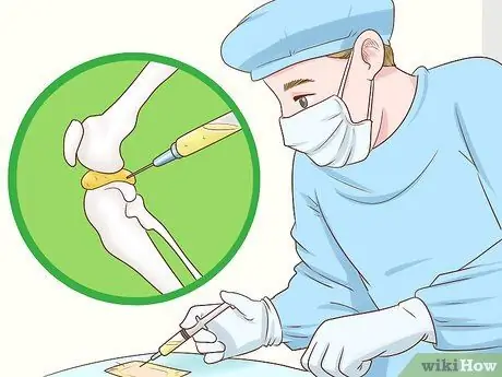 Как справиться с септическим артритом у кошек Шаг 8