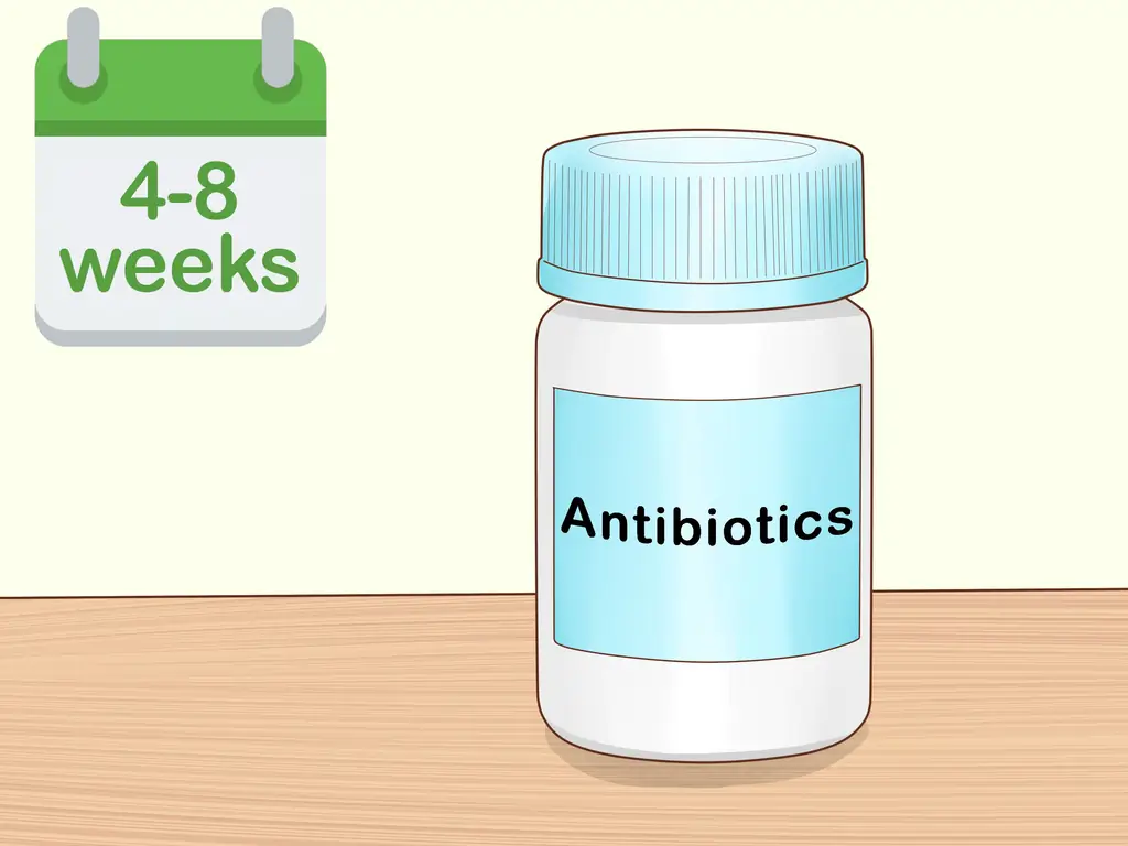 3 способа лечения септического артрита у кошек