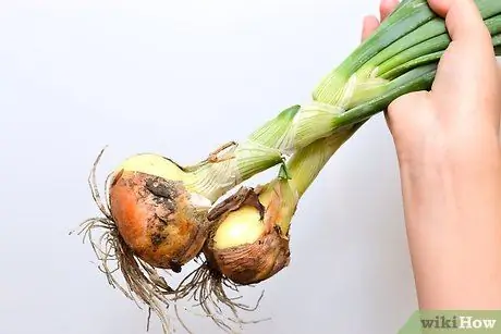 Избавьте свою продукцию от остатков пестицидов Шаг 8