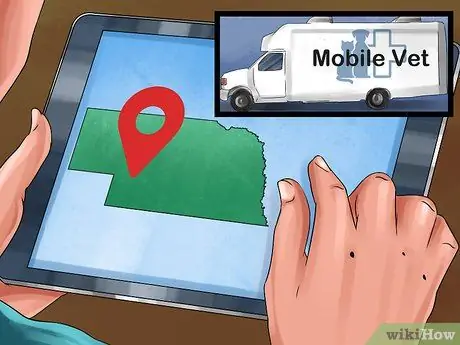 Найти мобильную ветеринарную службу Шаг 1