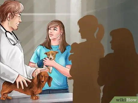 Найти мобильную ветеринарную службу Шаг 14