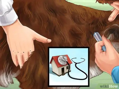 Найти мобильную ветеринарную службу Шаг 6