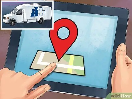 Найти мобильную ветеринарную службу Шаг 7