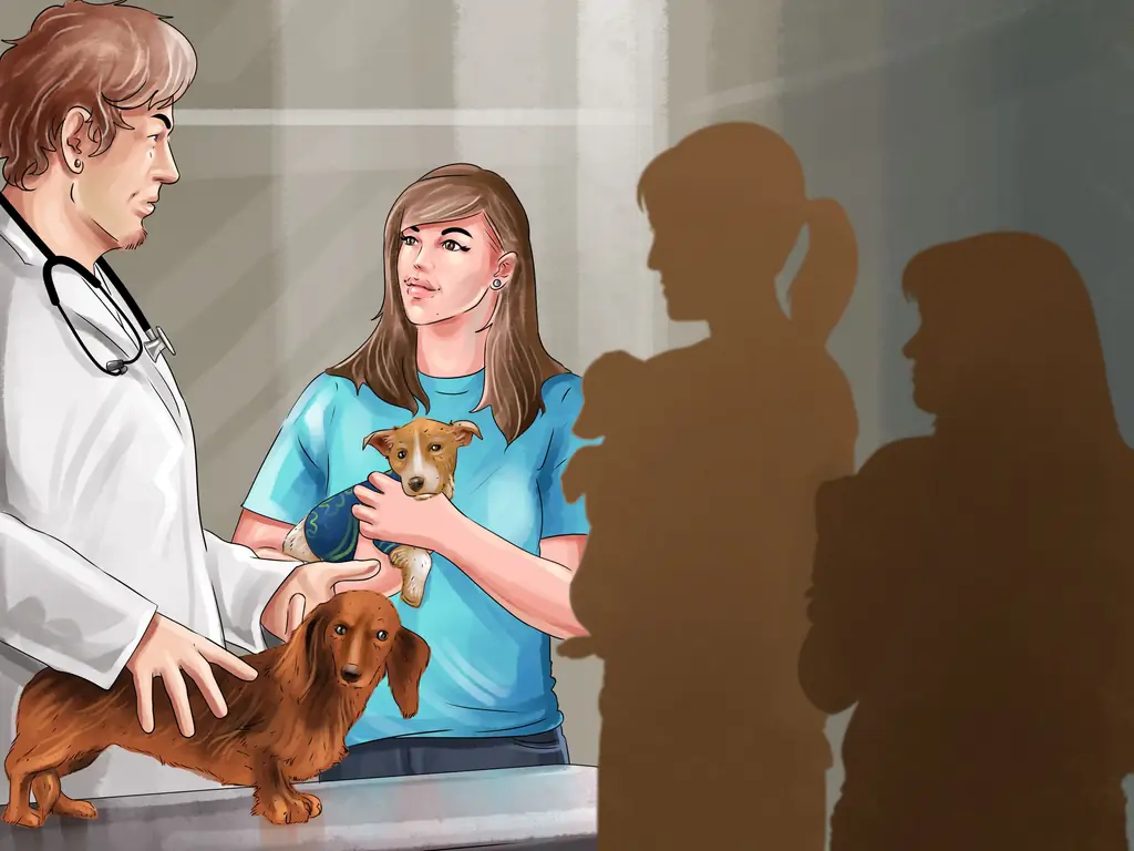 Как найти передвижную ветеринарную службу: 14 шагов (с иллюстрациями)