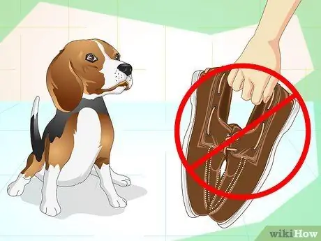 Сохраняйте спокойствие собаки вне ее клетки Шаг 4