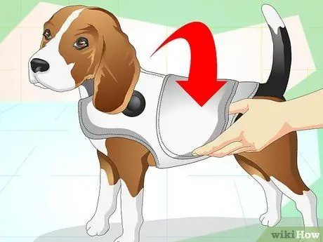 Сохраняйте спокойствие собаки вне ее клетки Шаг 8