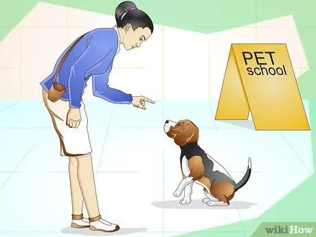 Сохраняйте спокойствие собаки вне ее клетки Шаг 9