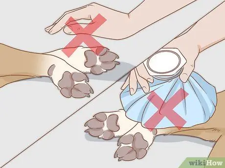 Лечить обморожение у собак Шаг 5