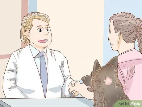 Лечить обморожение у собак Шаг 6