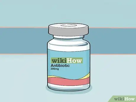 Лечить обморожение у собак Шаг 9