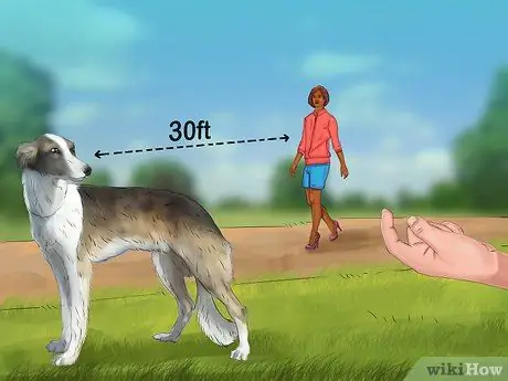 Не позволяйте собаке бросаться на машины и людей Шаг 11