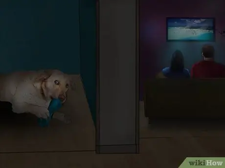 Не позволяйте собаке бросаться на машины и людей Шаг 15