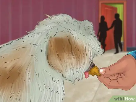 Не позволяйте собаке бросаться на машины и людей Шаг 16