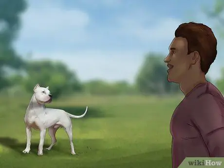 Не позволяйте собаке бросаться на машины и людей Шаг 8