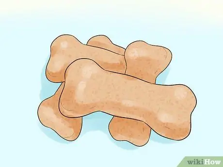 Заставьте собаку вести себя в ресторанах, шаг 2