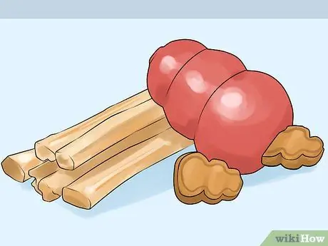 Заставьте собаку вести себя в ресторанах Шаг 3