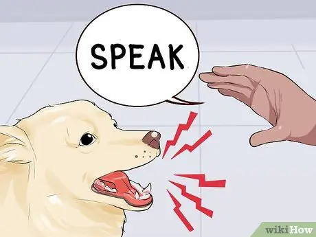 Заставьте собаку вести себя в ресторанах Шаг 6