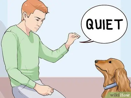 Заставьте собаку вести себя в ресторанах Шаг 7