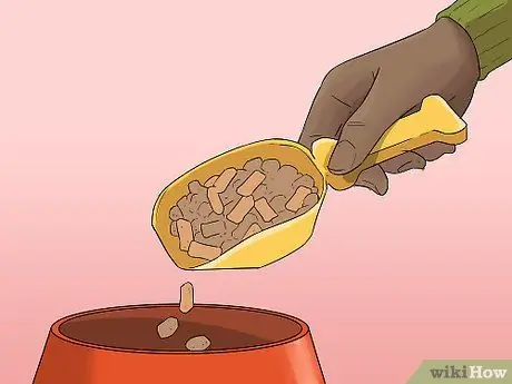 Составьте распорядок дня для вашей собаки Шаг 4