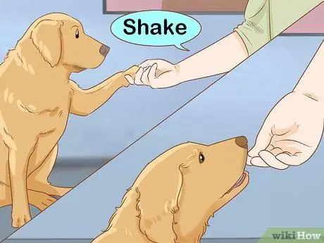 Как остановить собаку, шаг 6