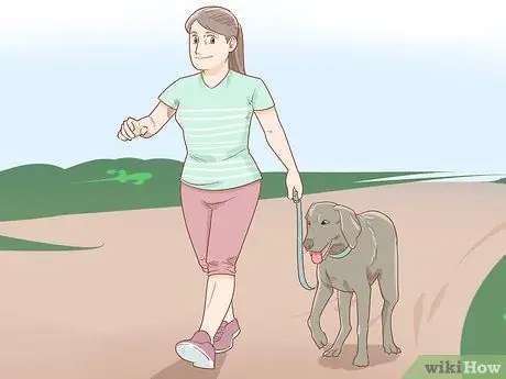 Как остановить собаку, шаг 9