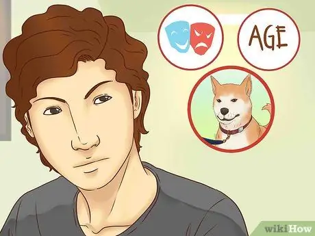 Будьте терпеливы со своей собакой Шаг 11