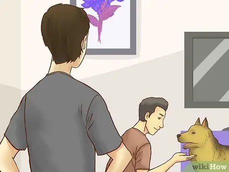 Будьте терпеливы со своей собакой Шаг 12