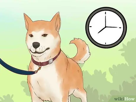 Будьте терпеливы со своей собакой, шаг 2