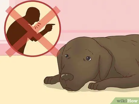 Будьте терпеливы со своей собакой Шаг 3