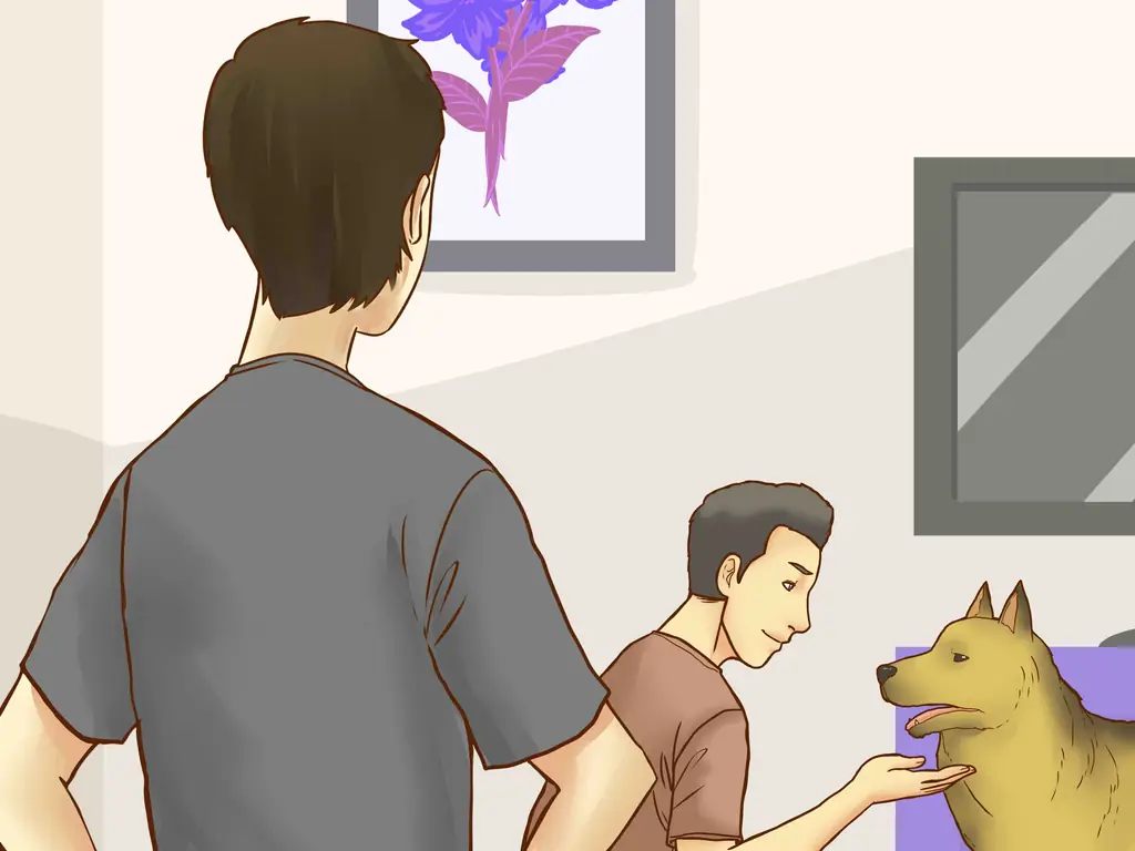 3 способа быть терпеливыми с собакой