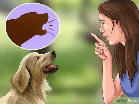 Держите свою собаку под контролем за пределами шага 1