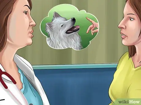 Держите свою собаку под контролем за пределами шага 12