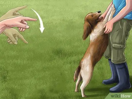 Держите собаку под контролем за пределами шага 5