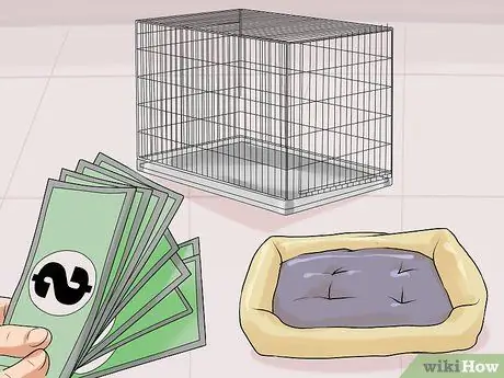 Удачного первого дня с новой собакой Шаг 1