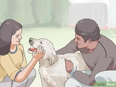 Удачного первого дня с новой собакой Шаг 13