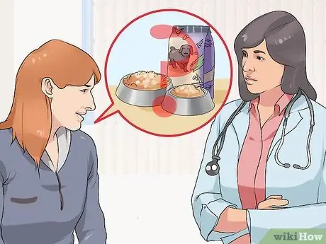 Удачного первого дня с новой собакой Шаг 2