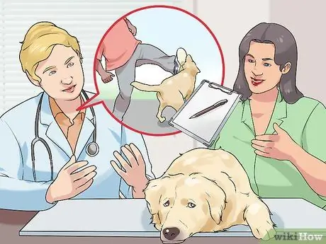 Удачного первого дня с новой собакой Шаг 3