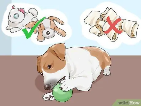 Удачного первого дня с новой собакой Шаг 6