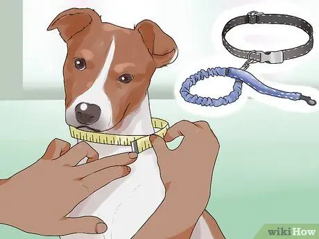 Удачного первого дня с новой собакой Шаг 7