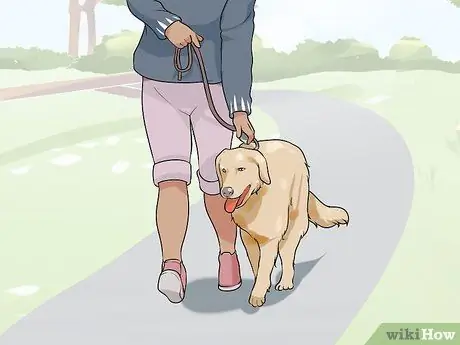 Удачного первого дня с новой собакой Шаг 9