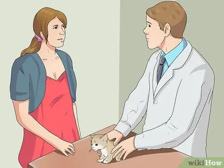 Уход за котятами-сиротами в возрасте до трех недель Шаг 12