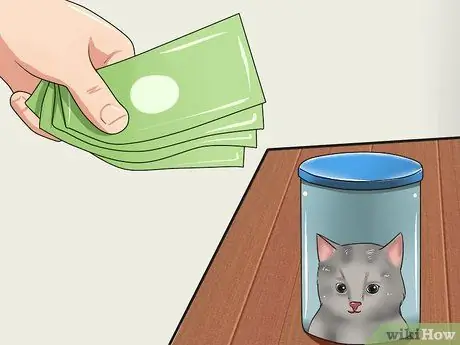 Уход за котятами-сиротами в возрасте до трех недель Шаг 5