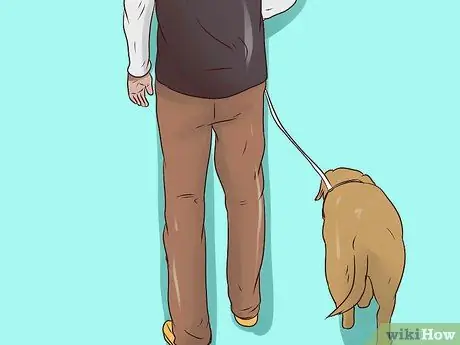 Использование ошейника на шее на собаку Шаг 6