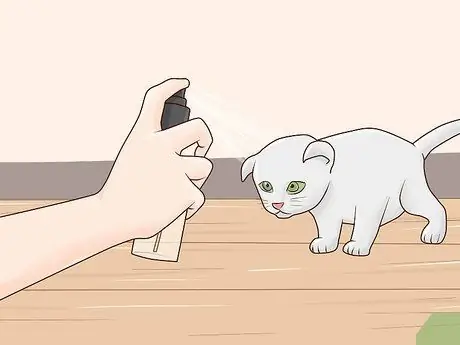 Развлекайте котенка Шаг 10