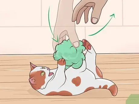 Развлекайте котенка Шаг 9