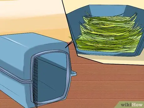 Безопасно перевозите морских свинок в машине Шаг 3