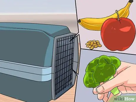 Безопасно перевозите морских свинок в машине Шаг 4