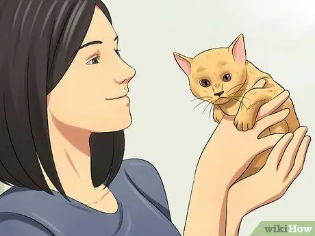 Уход за котятами с рождения Шаг 10